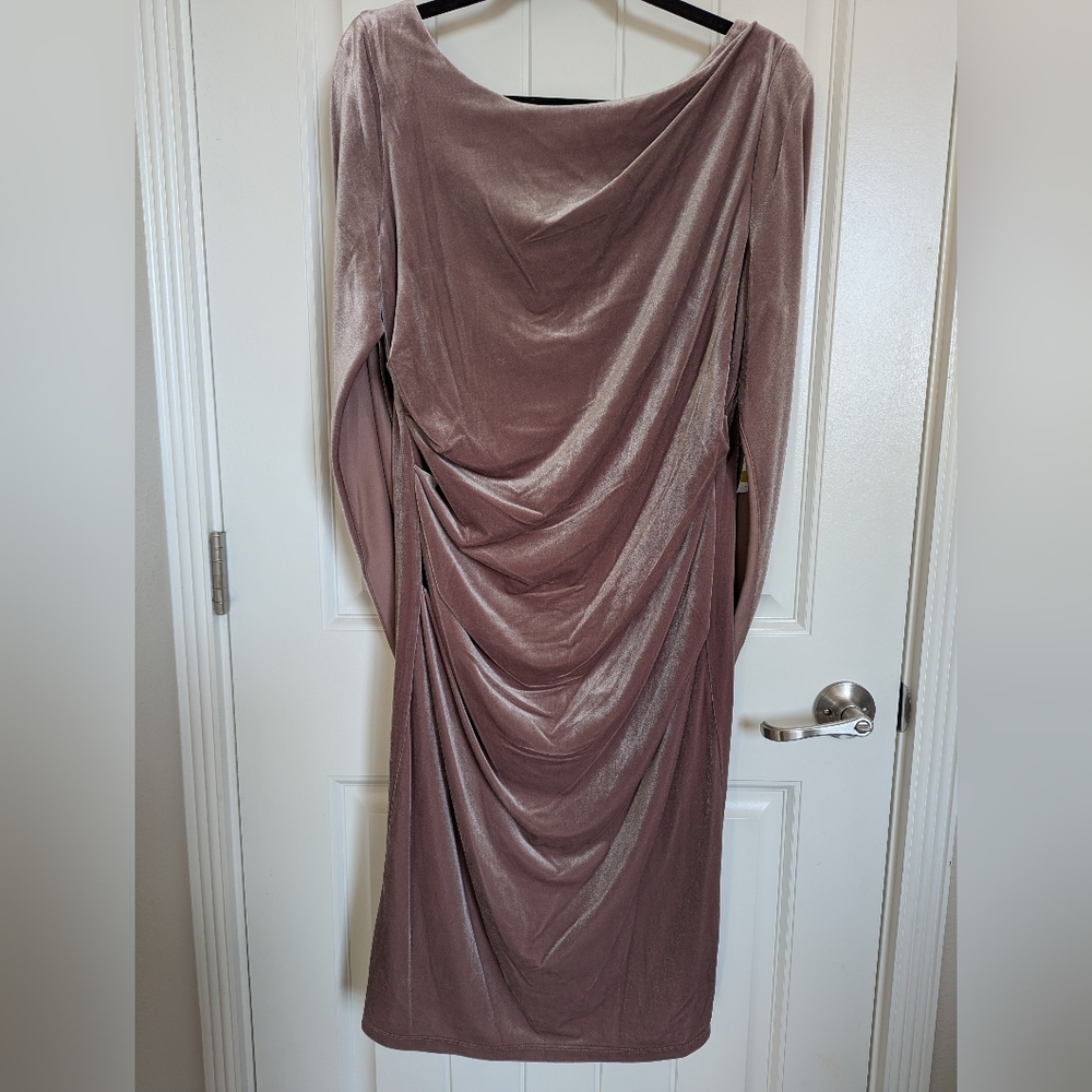 R & M Richards Elegant Dusty Rose Long Sleeve Dress